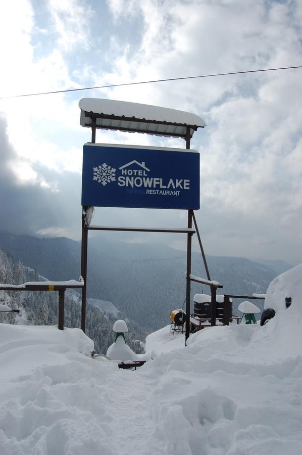 Hotel Snowflake Narkanda Buitenkant foto
